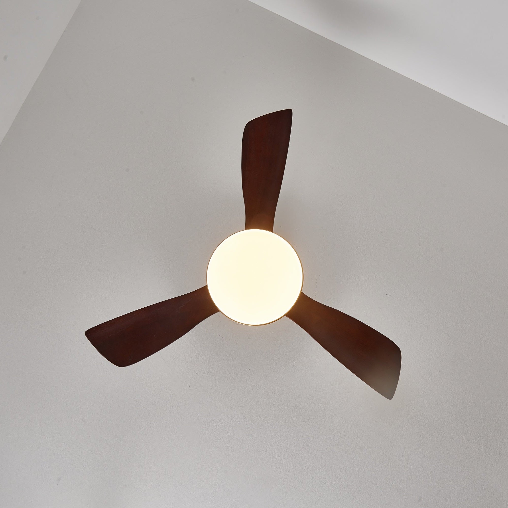 Deckenventilator mit Licht Lariena