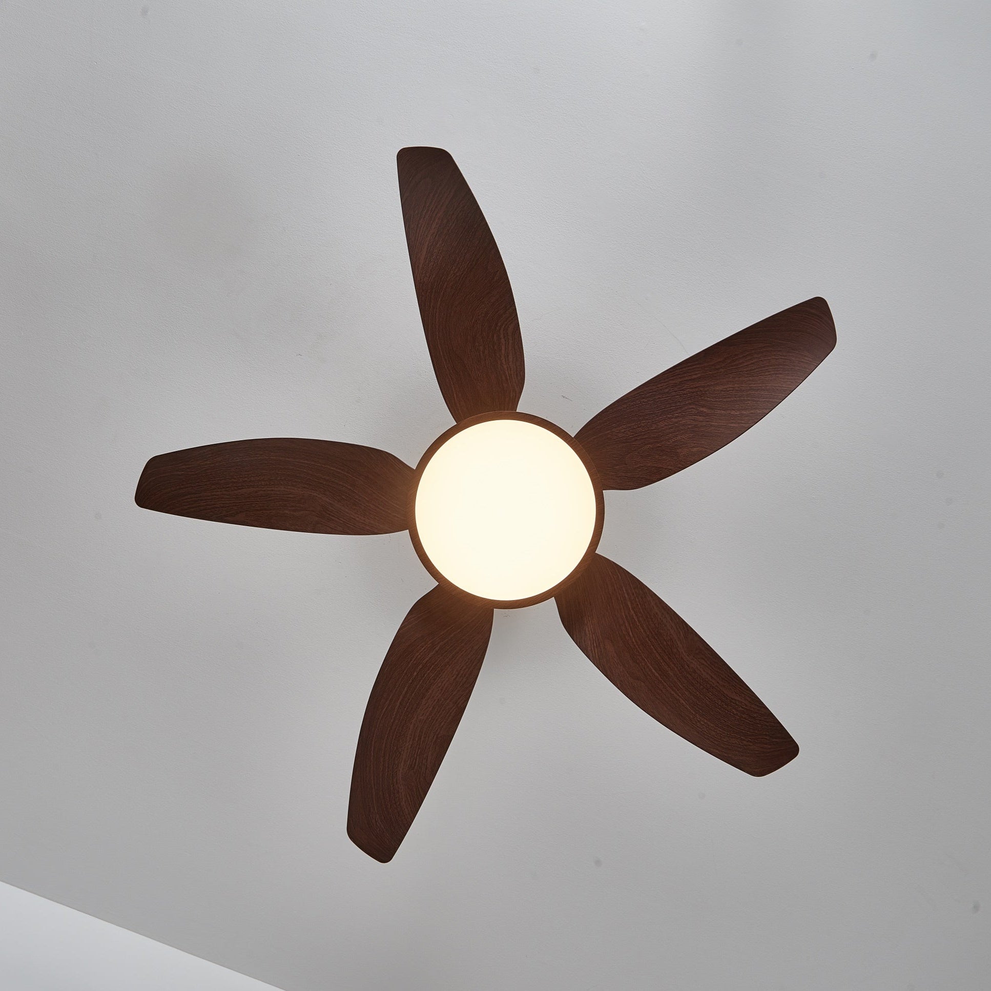 Moderne Deckenventilatorleuchte Melti