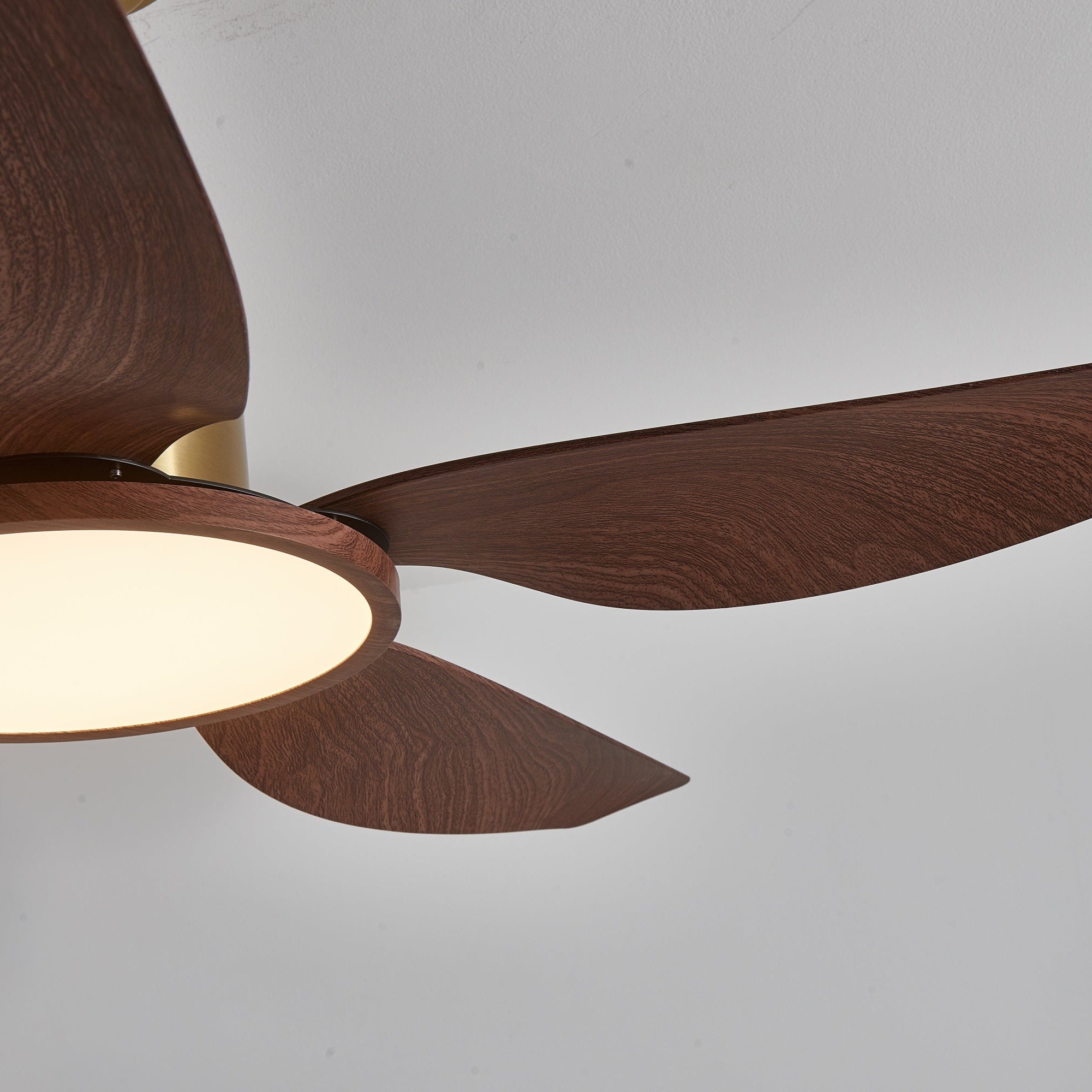 Moderne Deckenventilatorleuchte Melti