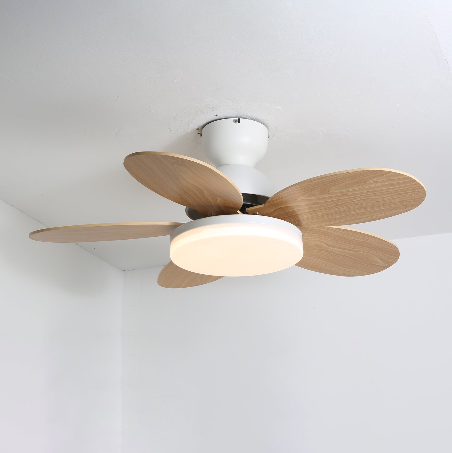 Moderne Deckenventilatorleuchte Lareo