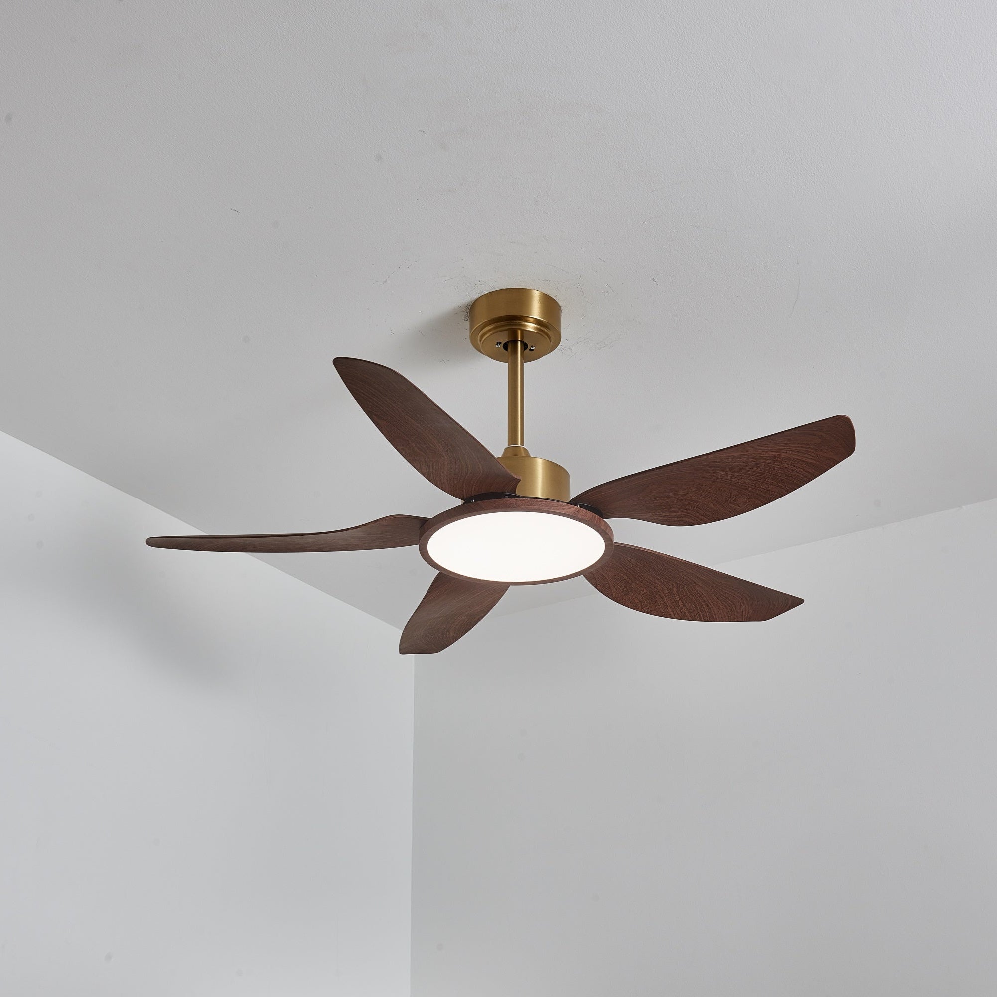 Moderne Deckenventilatorleuchte Melti