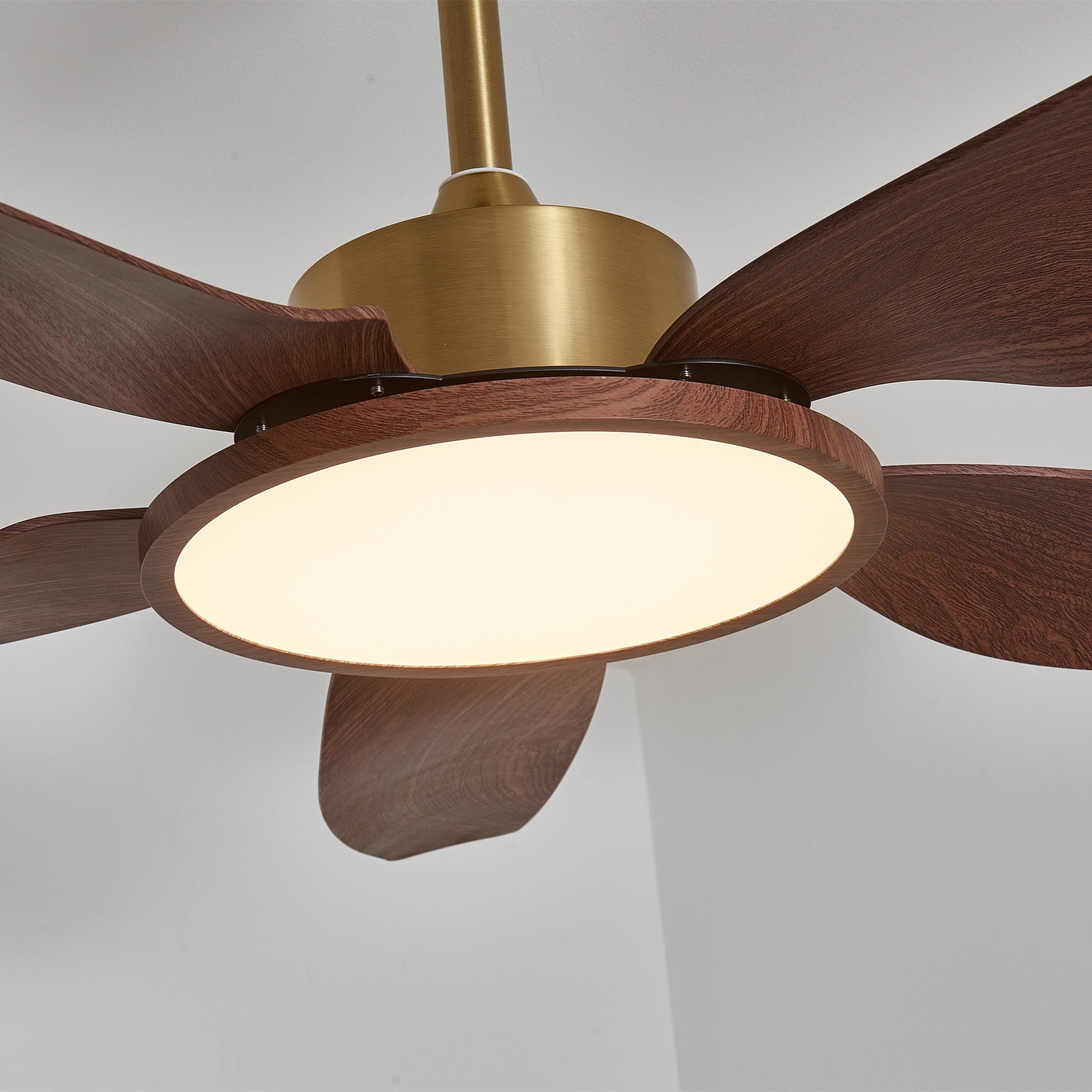 Moderne Deckenventilatorleuchte Melti