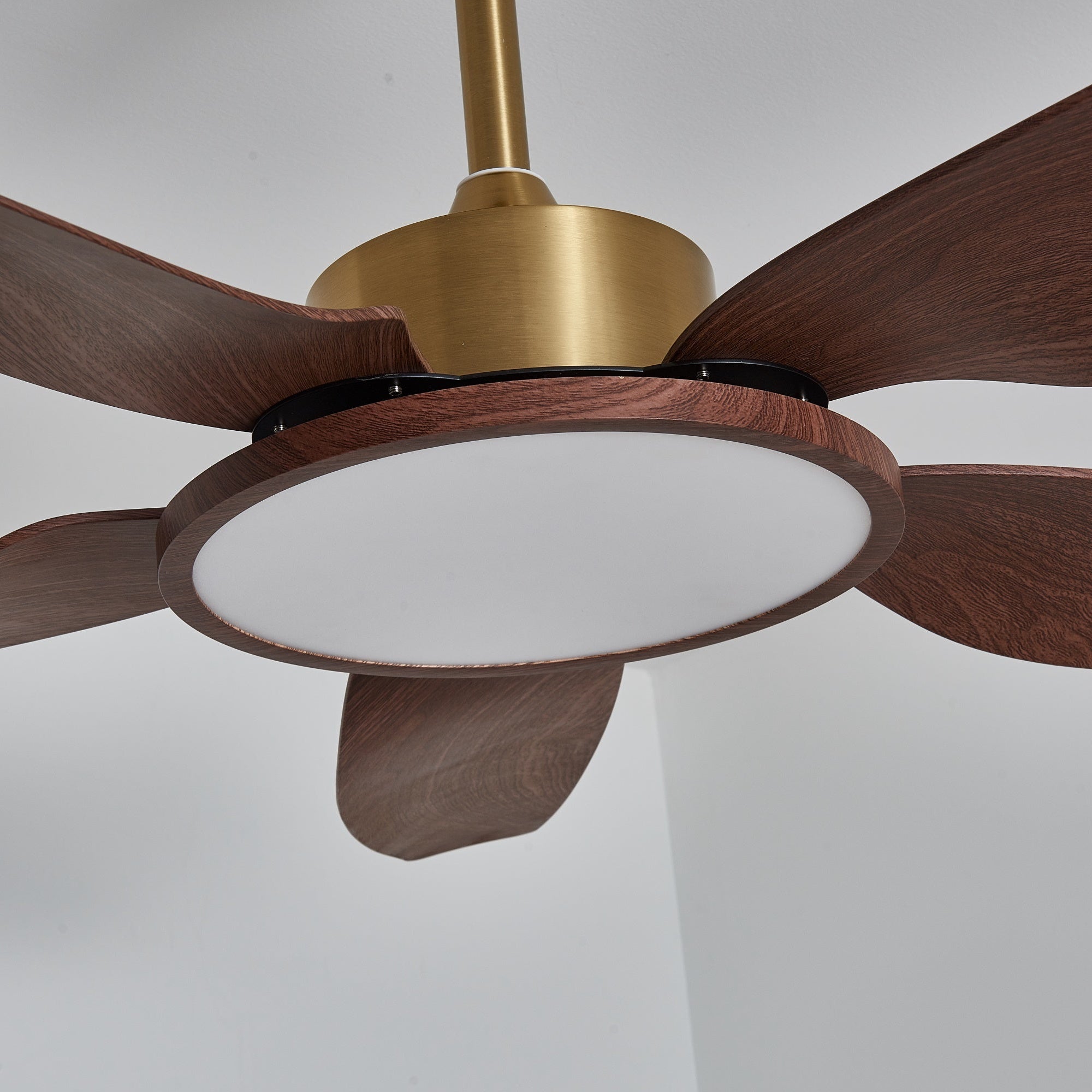 Moderne Deckenventilatorleuchte Melti