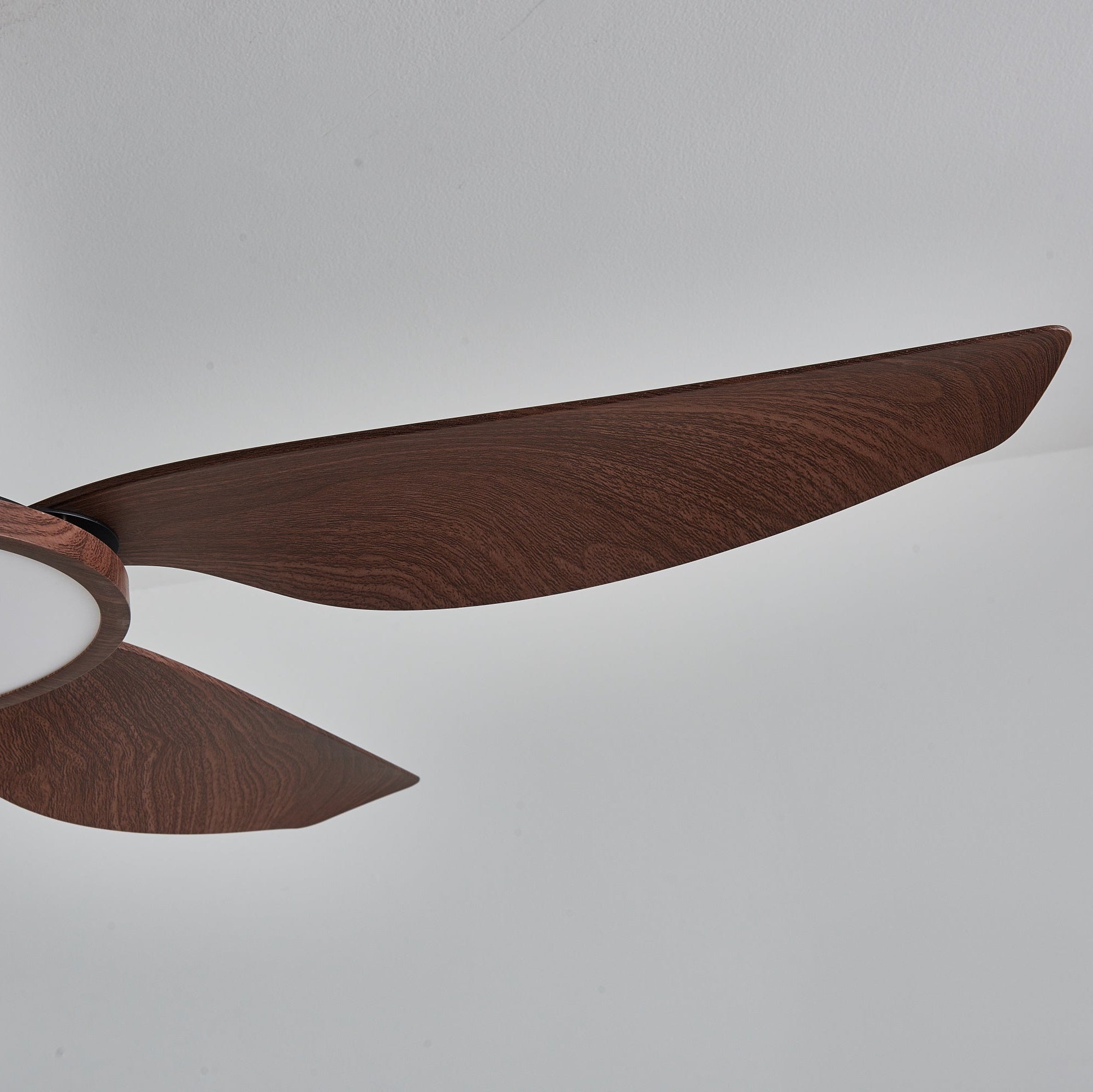 Moderne Deckenventilatorleuchte Melti