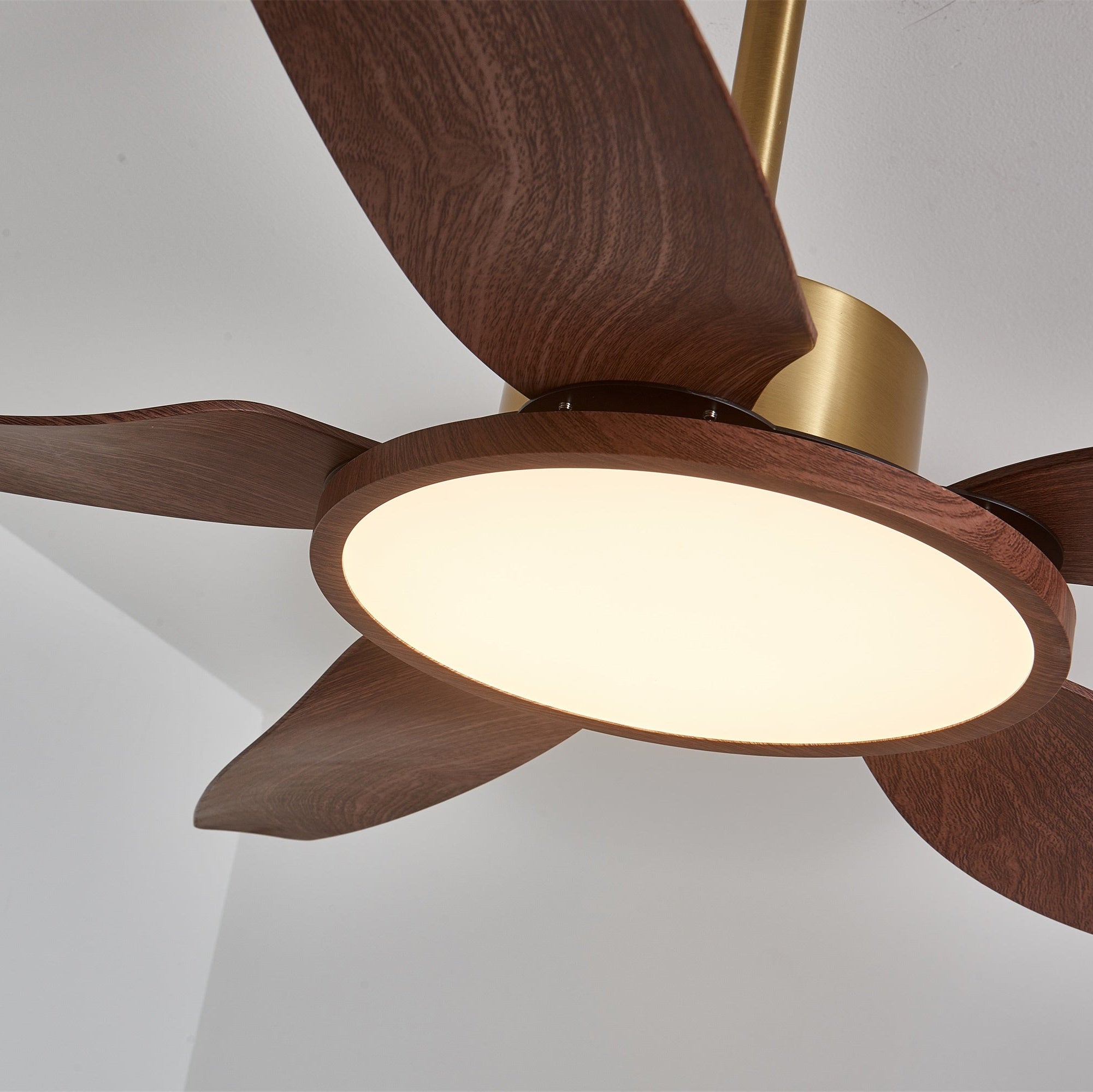 Moderne Deckenventilatorleuchte Melti