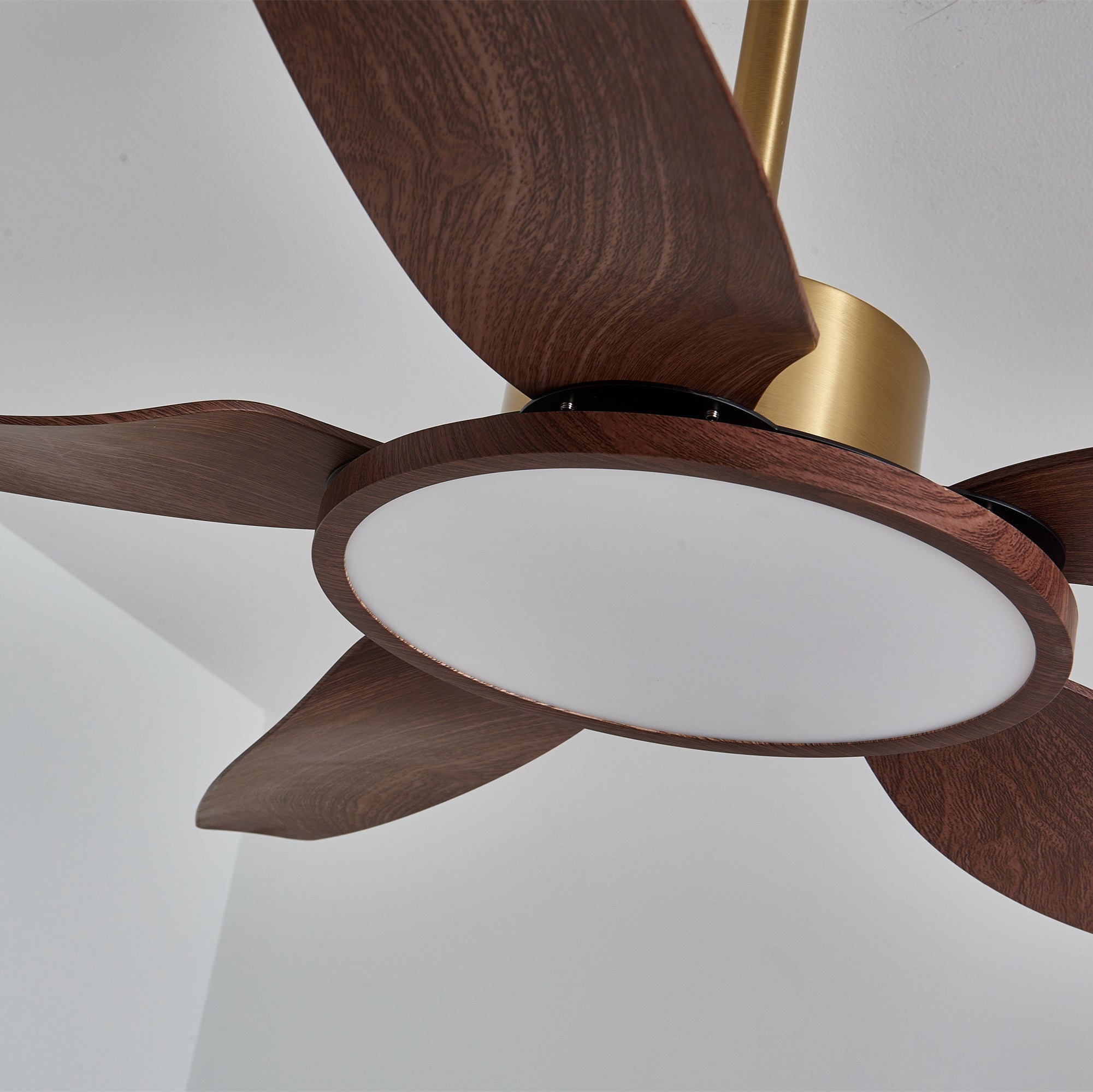 Moderne Deckenventilatorleuchte Melti