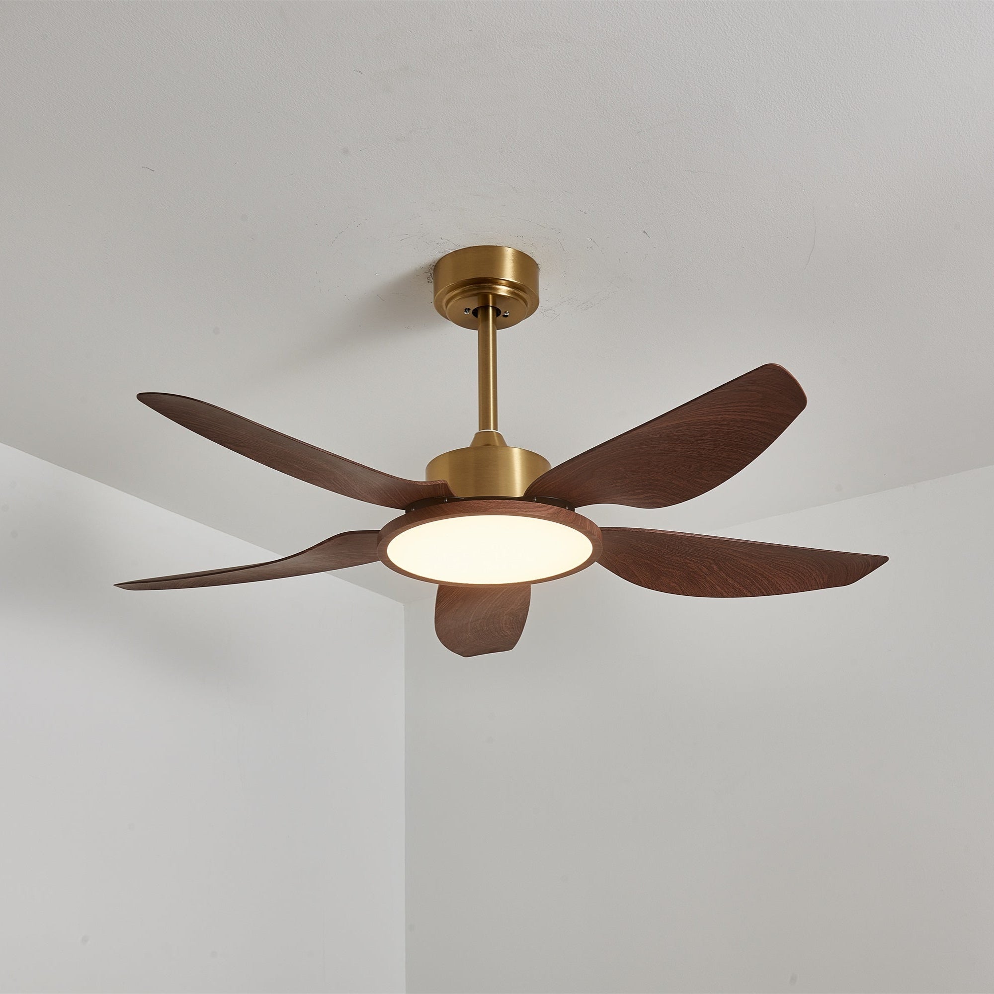 Moderne Deckenventilatorleuchte Melti
