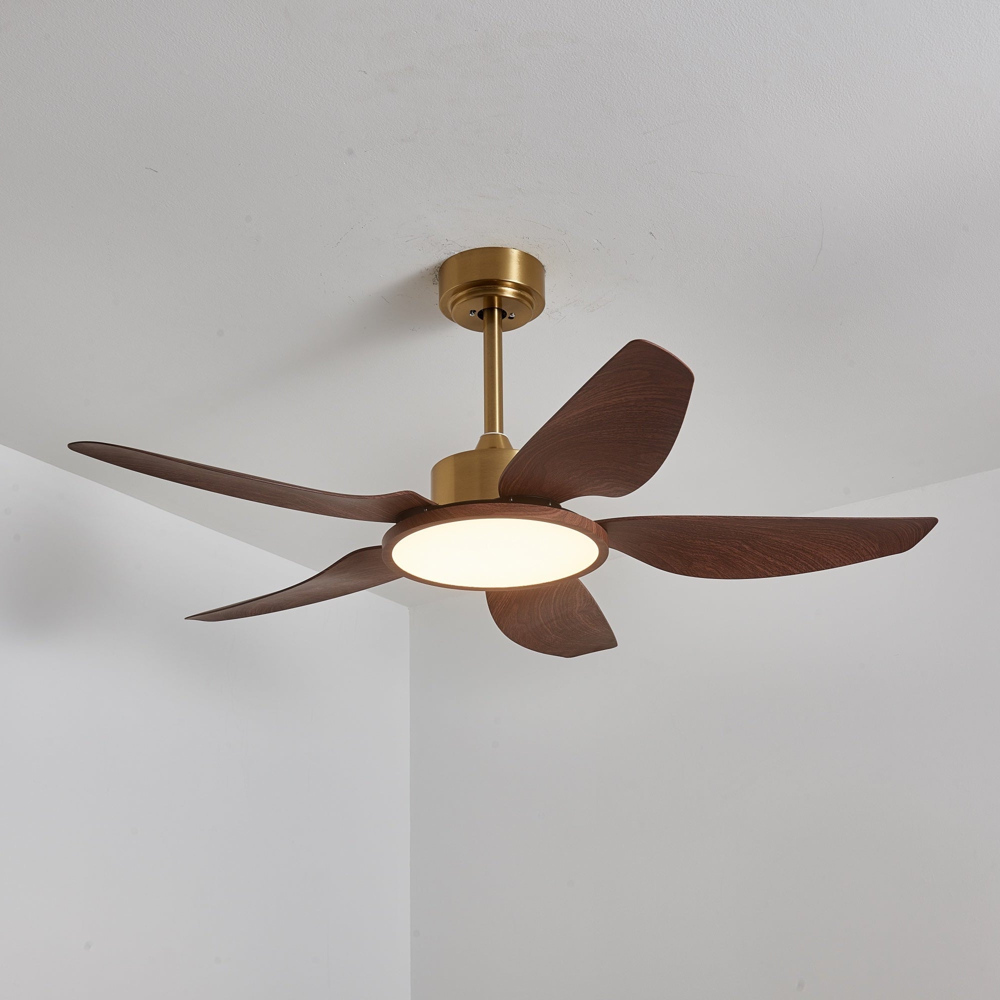 Moderne Deckenventilatorleuchte Melti