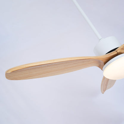 Moderne Deckenventilatorleuchte Fioeli